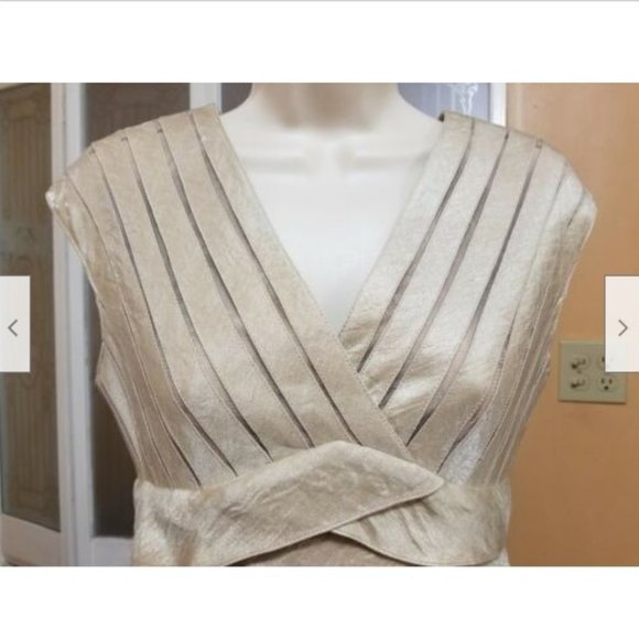 Adrianna Papell Ladies Beautiful Champagne Dress - Picture 3 of 8